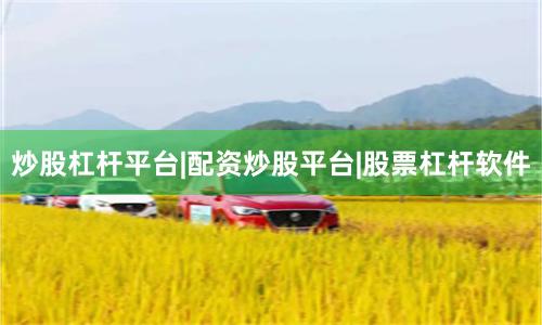 炒股杠杆平台|配资炒股平台|股票杠杆软件